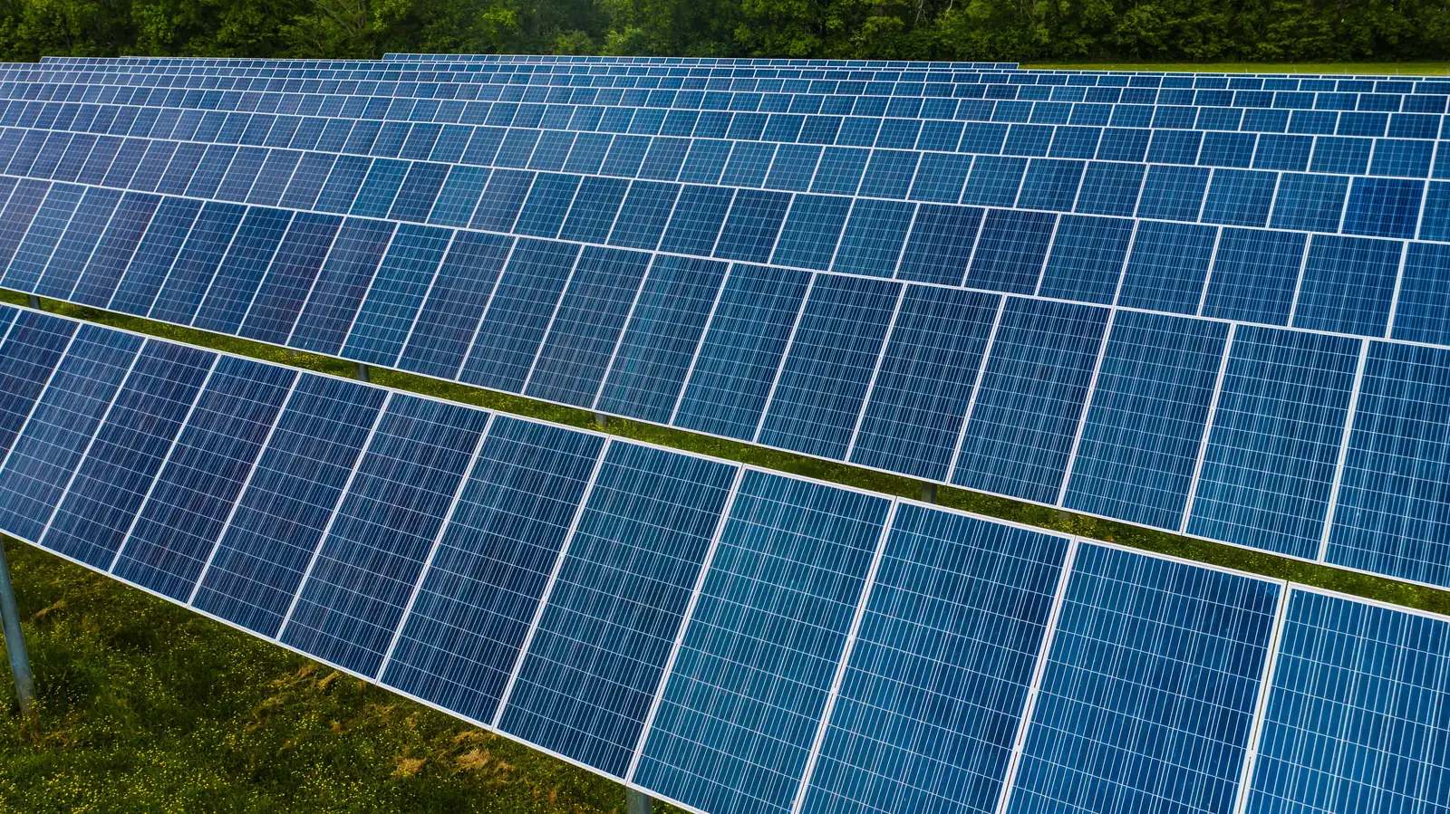 Große Reihen blauer Solarmodule in einer Photovoltaikanlage