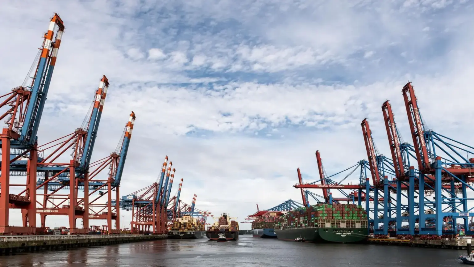 Containerterminal im Hamburger Hafen mit Frachtschiffen und hohen Verladekränen
